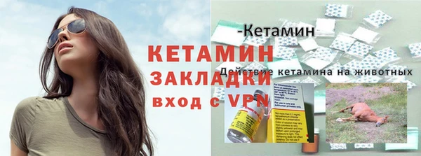индика Няндома