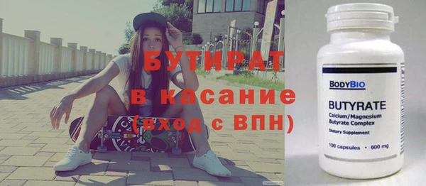 индика Няндома
