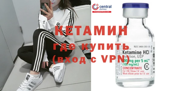 индика Няндома