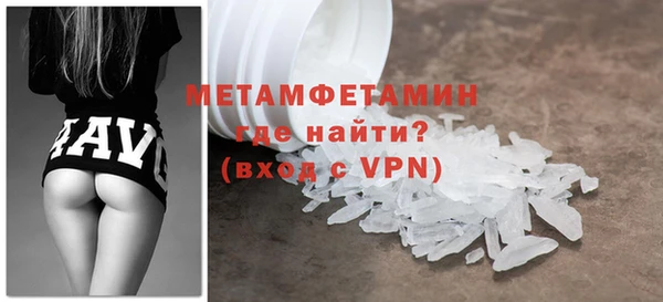 индика Няндома