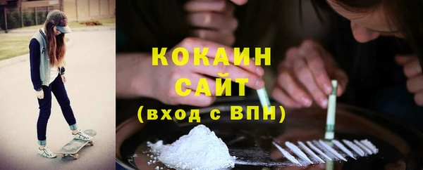 индика Няндома