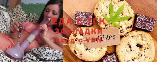 индика Няндома
