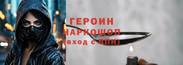 индика Няндома