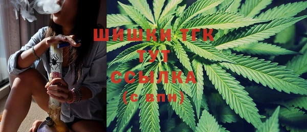 индика Няндома
