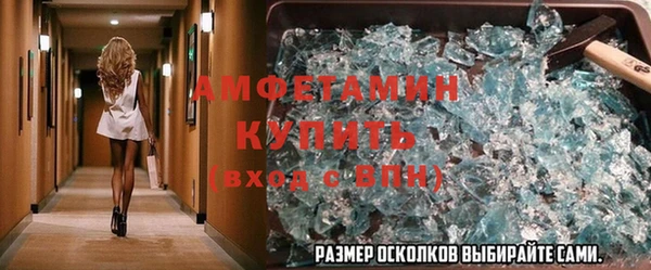 индика Няндома