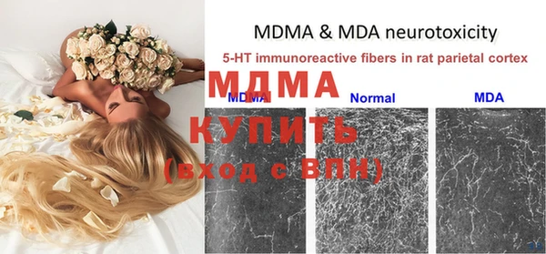 индика Няндома