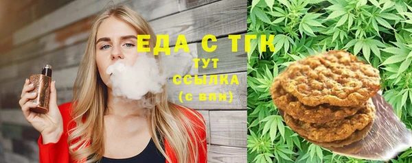 индика Няндома