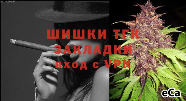 индика Няндома