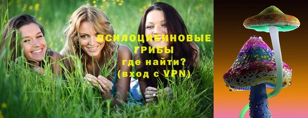 эйфоретик Нязепетровск