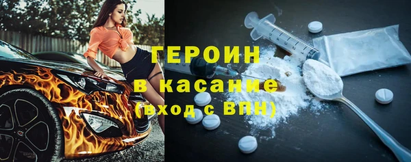 индика Няндома