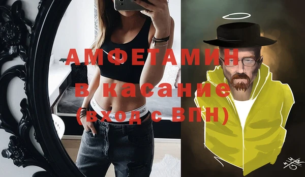 индика Няндома