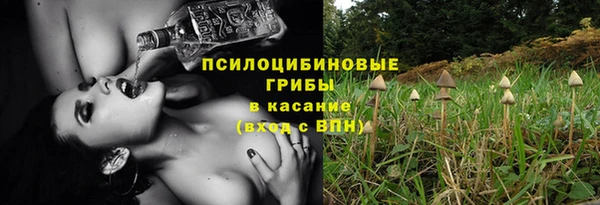 эйфоретик Нязепетровск