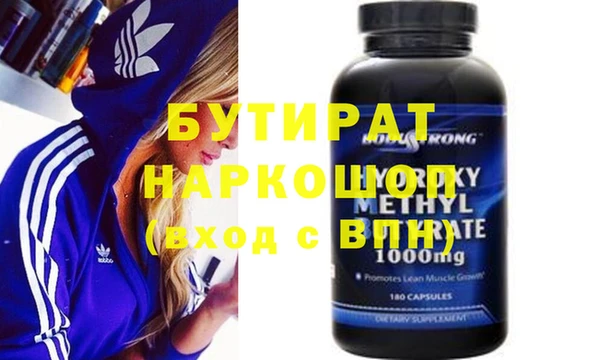 индика Няндома