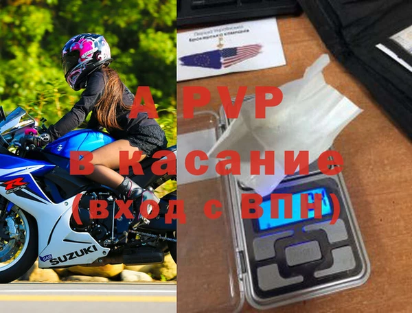 индика Няндома