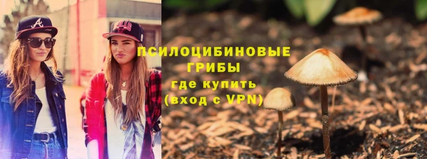 эйфоретик Нязепетровск