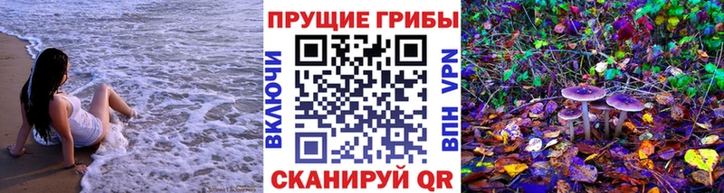 цены наркотик  Чистополь  Псилоцибиновые грибы прущие грибы 