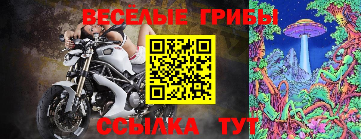 наркошоп  Галлюциногенные грибы MAGIC MUSHROOMS  Вход с VPN  Чистополь  Псилоцибиновые грибы мицелий 