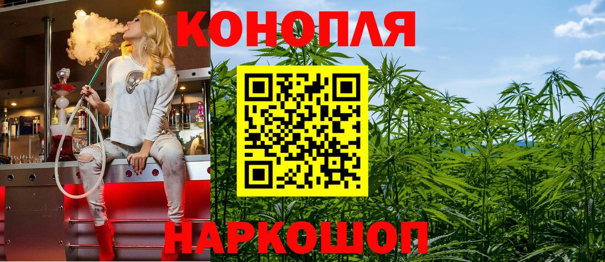 Шишки марихуана планчик  Марихуана OG Kush  Бошки Шишки AK-47  Чистополь  Вход с VPN  Конопля ГИДРОПОН 